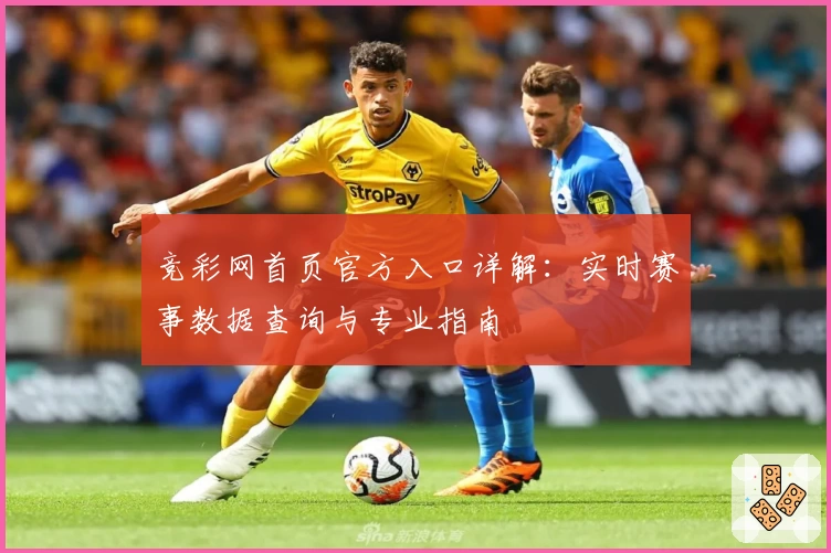 竞彩网首页官方入口详解：实时赛事数据查询与专业指南