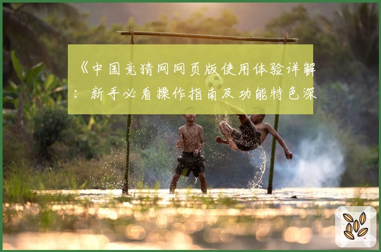 《中国竞猜网网页版使用体验详解：新手必看操作指南及功能特色深度测评》