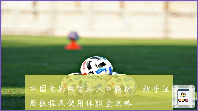 中国竞彩网官方入口解析：新手注册教程及使用体验全攻略