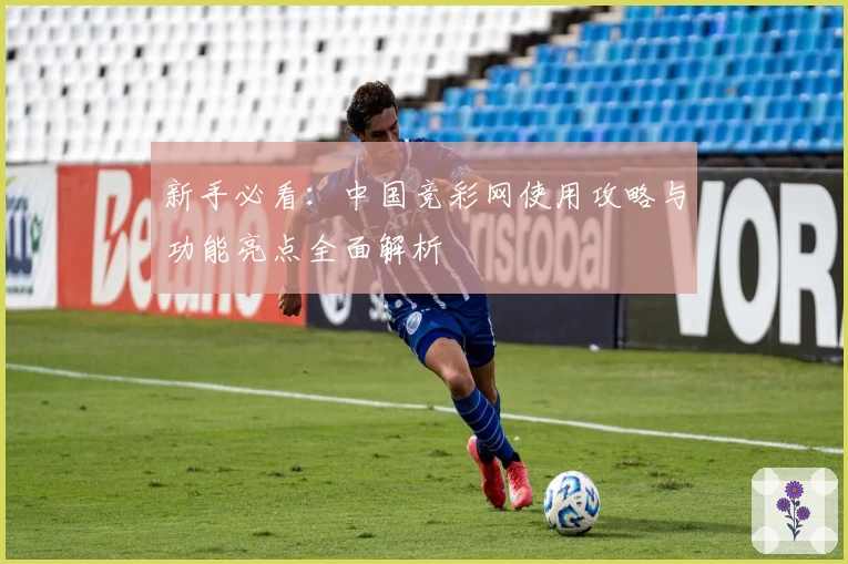 新手必看：中国竞彩网使用攻略与功能亮点全面解析